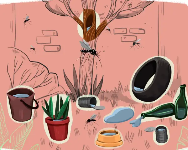 Los mosquitos se reproducen en agua estancada: cubos, macetas, neumáticos, botellas y latas.