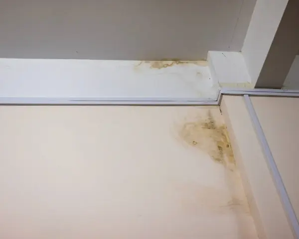 Taches de moisissure et d'humidité sur un mur et un plafond, signe d'un vice caché de maison et d'une infiltration d'eau.