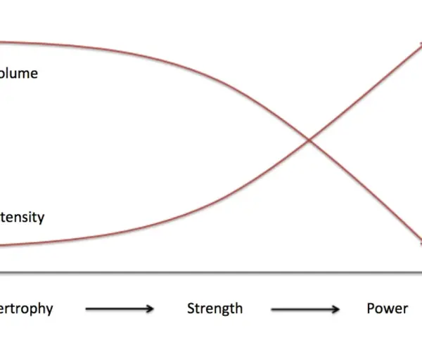 Graph illustrating reverse linear periodization: volume decreases as intensity increases from hypertrophy to strength to power training.
