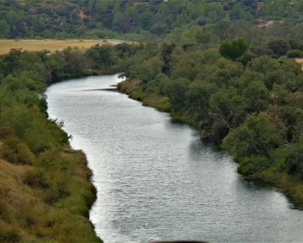 El río serpentea a través del parque fluvial de Zorita de los Canes, rodeado de exuberante vegetación y colinas boscosas.