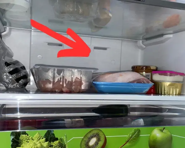 Woda w lodówce? Zatkany odpływ? Udrożnij go sam w 5 krokach!