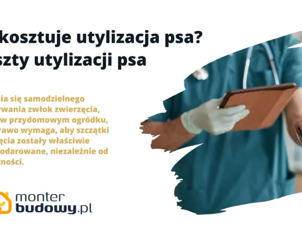 Koszty kremacji psa: Ile kosztuje godne pożegnanie pupila?