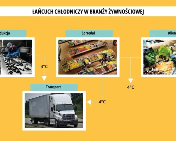 Łańcuch chłodniczy w branży żywnościowej: produkcja, transport, sprzedaż i klient. Utrzymanie 4°C zapobiega psuciu się produktów.