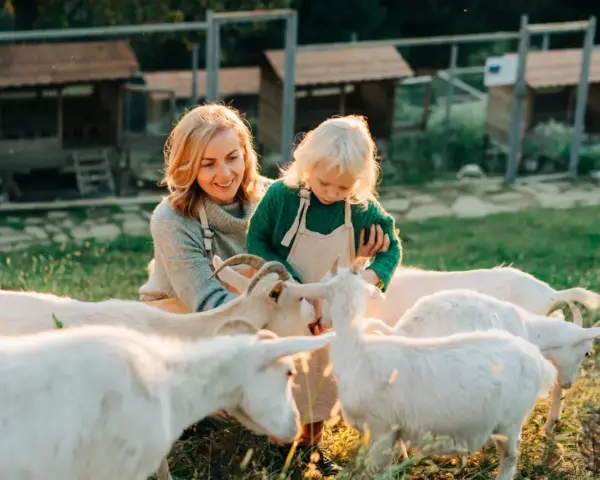 Kobieta i dziecko karmią kozy na farmie. Idealne wczasy pod gruszą, pełne słońca i zwierząt.