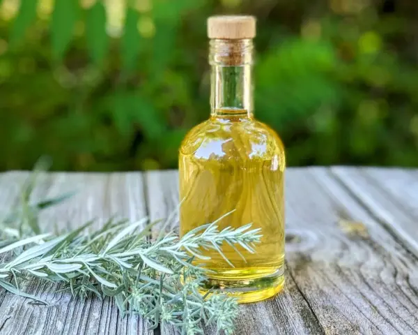 Eine kleine Glasflasche mit gelblicher Flüssigkeit und einem Korkverschluss steht neben frischen Wermut-Zweigen auf einem Holztisch. Ein altes Wermut Rezept zum Nachmachen.