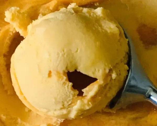 Ein Löffel hebt eine Kugel cremiges Sanddorn-Eis aus einer Schüssel. Die Farbe erinnert an die Sonne.
