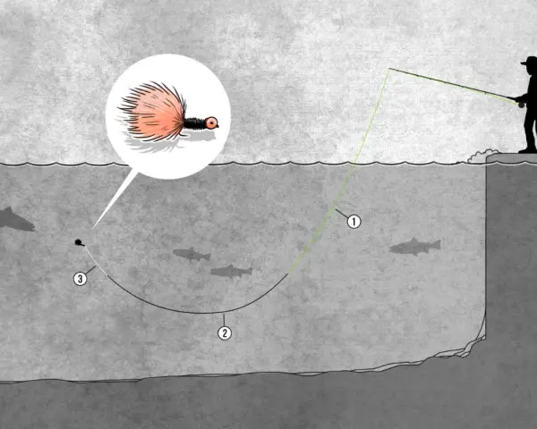 Illustration einer fliegenfischen montage: Ein Angler wirft eine Fliege, die im Detail gezeigt wird, ins Wasser, wo Fische schwimmen.