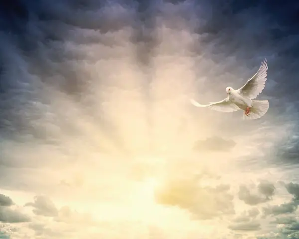 Weiße Taube fliegt durch dramatische Wolken, ein Symbol für Ostern, Himmelfahrt und Pfingsten.