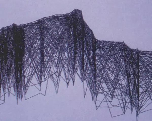 Une œuvre d'art contemporain défie la perception avec un réseau complexe de lignes sombres formant une structure abstraite rappelant une montagne ou une cascade.