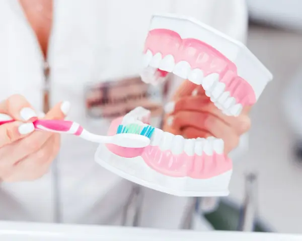 Dentyści pokazują na modelu, jak prawidłowo myć zęby, by uniknąć zbyt długiego mycia.