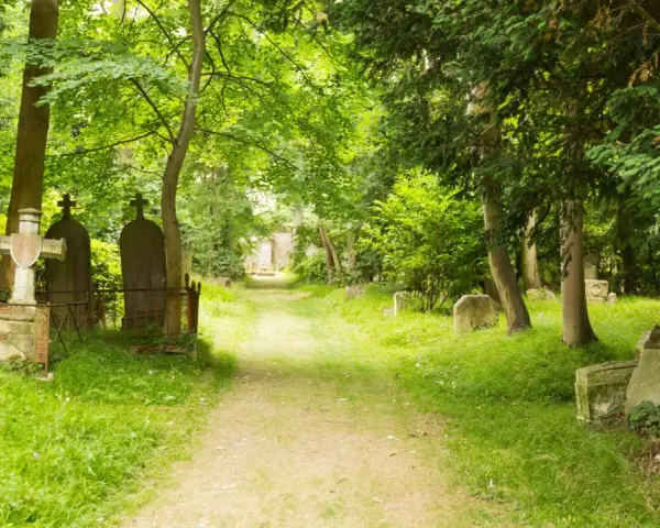 Sentier verdoyant menant à travers le cimetière dormant de Caen, bordé de tombes anciennes et d'arbres majestueux.