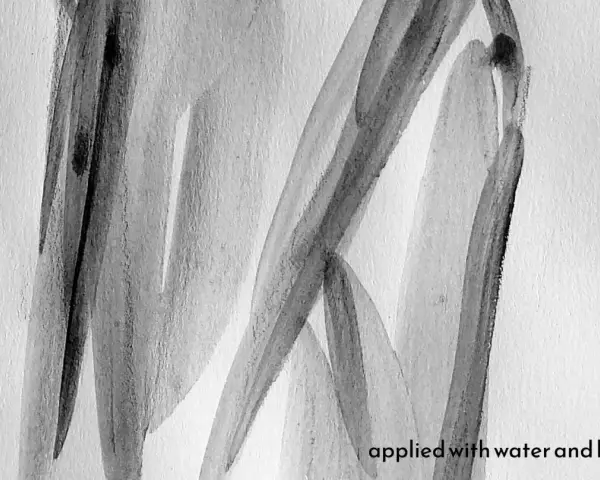 Abstraction en noir et blanc, évoquant la poudre de graphite utilisation dans une œuvre d'art fluide, appliquée à l'eau et au pinceau.