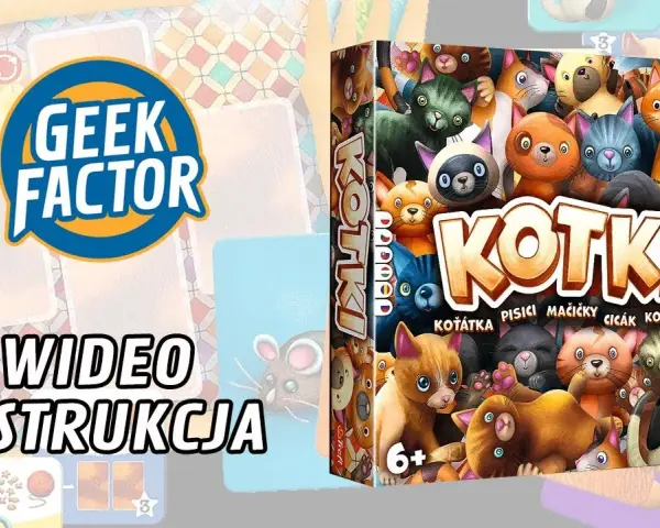 Jak grać w Kotki - Proste zasady i skuteczne strategie na start