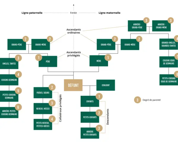 Arbre généalogique montrant comment retrouver les descendants d'une personne décédée, avec les liens familiaux et les degrés de parenté.
