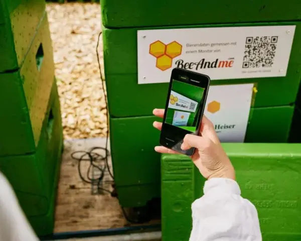 Ręka trzyma smartfon, by zeskanować kod QR na zielonym ulu. Aplikacja BeeAndMe pokazuje podgląd.