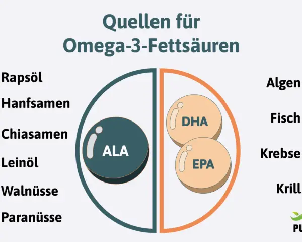 Quellen für Omega-3-Fettsäuren: Rapsöl, Hanfsamen, Chiasamen, Leinöl, Walnüsse, Paranüsse, Algen, Fisch, Krebse, Krill. Die Grafik zeigt, wieviel Omega 3 am Tag man zu sich nehmen kann.