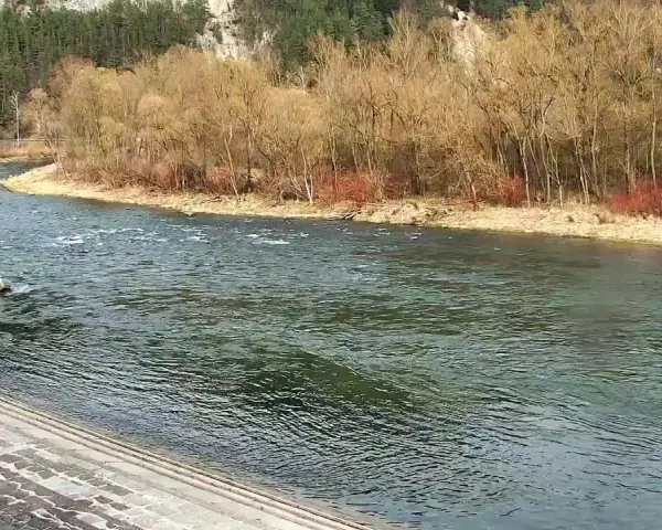 Rzeka Dunajec w Szczawnicy, widok na przystań flisacką i lasy.