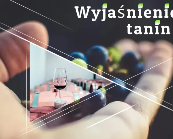 Wyjaśnienie tanin w winie. Kieliszek czerwonego wina, winogrona i beczki w tle.