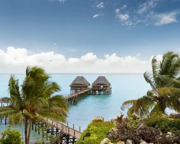 Dwa domki na wodzie z palmami w tle, idealne na spokojny wypoczynek podczas pory deszczowej na Zanzibarze.