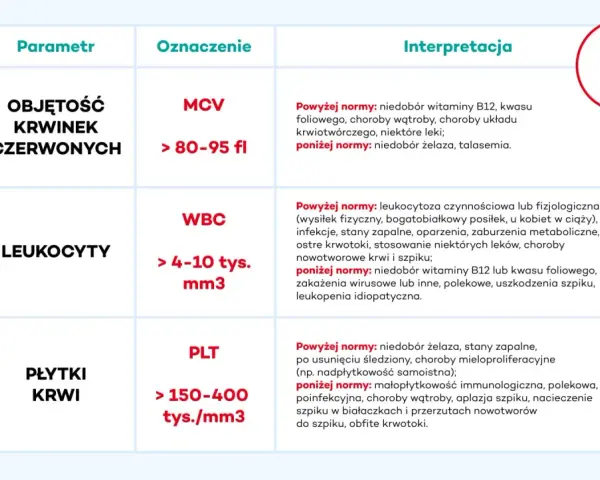 Tabela interpretuje wyniki badań krwi: objętość krwinek czerwonych (MCV), leukocyty (WBC) i płytki krwi (PLT). Nie wspomina o tym, co to jest hemoglobina.
