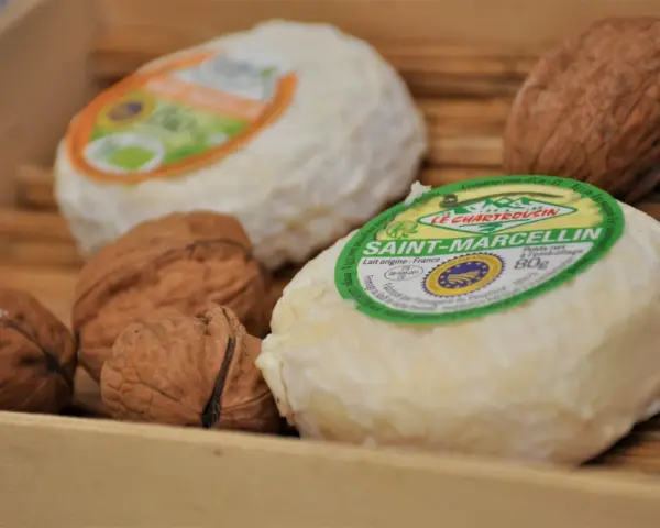 Fromages Saint-Marcellin et noix, parfaits pour une recette avec purée.