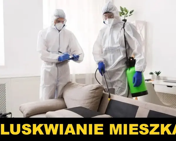 Jak przygotować mieszkanie do odpluskwiania - uniknij błędów i stresu