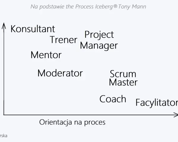 Diagram przedstawia role w procesie: Konsultant, Trener, Mentor, Moderator, Project Manager, Scrum Master, Coach i Facylitator.