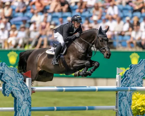 Cavalier en plein saut d'obstacles, le cheval est en l'air, le cavalier porte un casque noir. Le public est en arrière-plan.