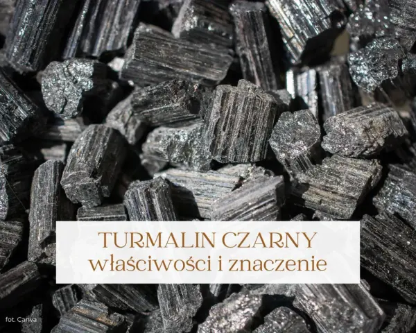 Grupka surowych kryształów turmalinu czarnego, błyszczących w świetle. Kamienie te mają wiele właściwości.