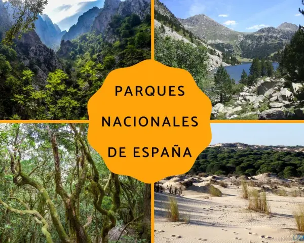 Montañas, bosques y dunas: así es un parque nacional en España, un tesoro natural para explorar.