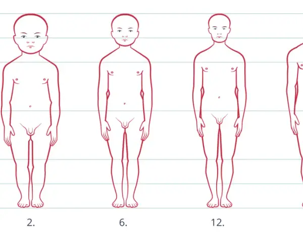 Ilustracja pokazuje rozwój sylwetki od noworodka do 25. roku życia, ukazując, kiedy dziecko rośnie najszybciej.