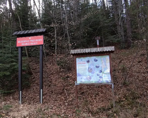 Tablica informacyjna w rezerwacie przyrody Diable Skały. Na tablicy mapa szlaków i opis atrakcji.