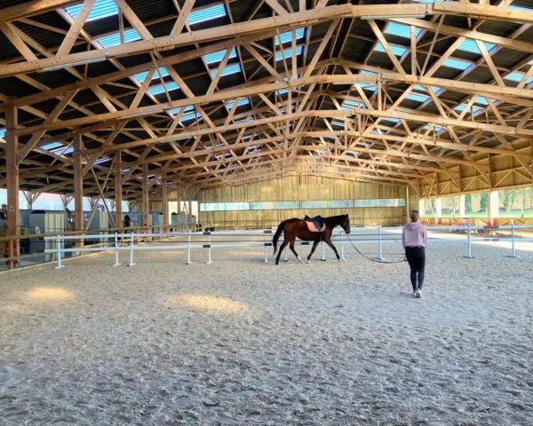 Cheval brun dans un manège d'équitation, guidé par une personne. La structure en bois du toit est visible.