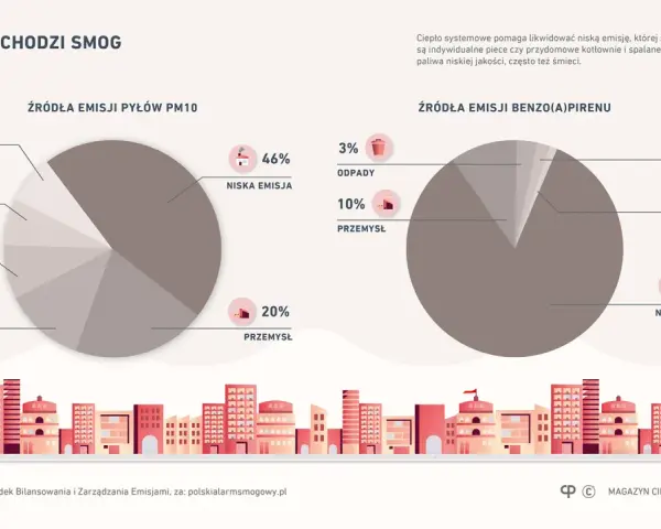 Dwa wykresy kołowe pokazujące źródła emisji pyłów PM10 i benzo(a)pirenu w Polsce.