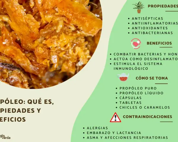 Propolis: qué es, sus propiedades antisépticas y beneficios para combatir bacterias. Se presenta en diversas formas.