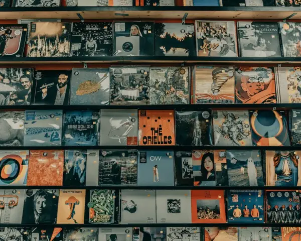Regale voller Schallplatten, die zeigen, was sind Alben: Musik, Kunst und Erinnerungen.