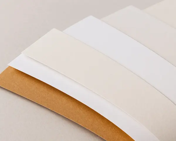 Abanico de diferentes tipos de folio en tonos neutros: marrón, blanco roto y blanco.