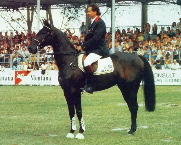 Un cavalier sur Jappeloup, un cheval noir à la taille impressionnante, devant une foule en délire.