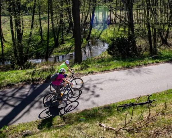 Dwie osoby na rowerach przemierzają malownicze bory tucholskie. Trasy rowerowe wiodą przez las, wzdłuż strumienia.