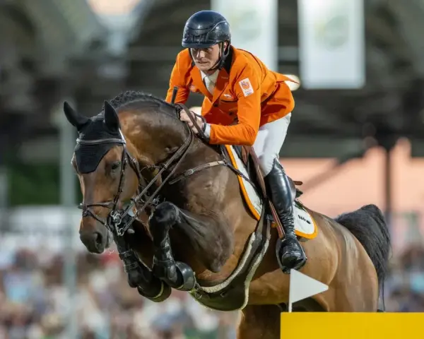 Cavalier néerlandais en tenue orange, en plein saut d'obstacles avec son cheval. Le **comthago vdl** semble prêt pour la victoire.
