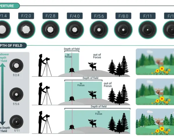 Illustration expliquant la profondeur de champ et l'ouverture d'un objectif photo. La photo optique montre comment l'ouverture affecte la mise au point.