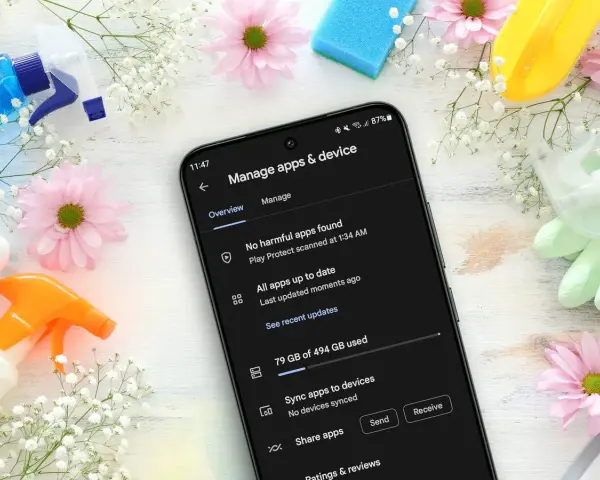 Handy Speicher voll: 79 GB von 494 GB belegt. Zeit für eine digitale Frühjahrsputz-Aktion mit Blumen und Reinigungsmitteln.