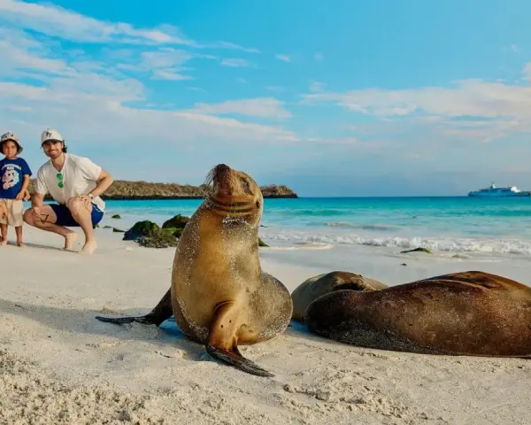 Rodzina na plaży na Galapagos, obok lwów morskich. W tle statek wycieczkowy.