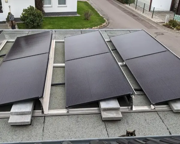 Solarmodule auf einem Bitumen-Flachdach, befestigt mit einer Aufständerung. Ein kleiner schwarzer Kater beobachtet die Installation.
