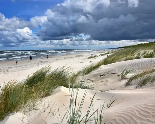 Piaszczyste wydmy porośnięte trawą morska, z widokiem na wzburzone morze i niebo z chmurami. Idealne kąpielisko na mierzei wiślanej.