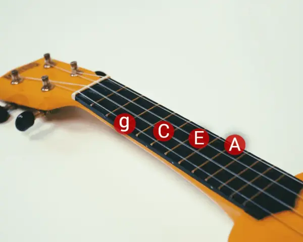 Nahaufnahme eines gelben Ukulelenhalses mit den Noten G, C, E, A als gitarrensaiten beschriftung auf roten Kreisen.