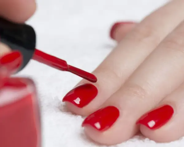 Dopo il primer unghie, si applica lo smalto rosso brillante. La mano è pronta per la manicure.