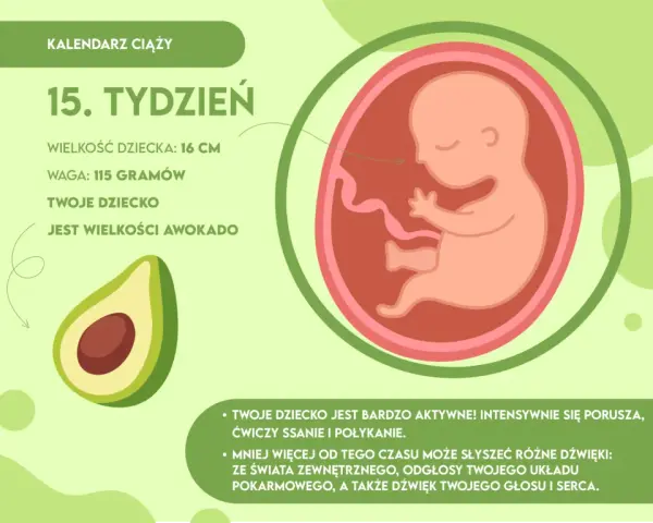 16. tydzień ciąży: Awokado w brzuchu! Co dzieje się z Tobą i dzieckiem?