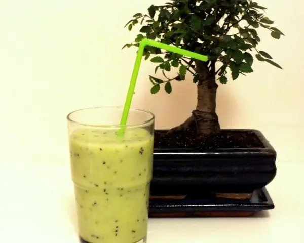 Orzeźwiający koktajl z kiwi i banana, z zieloną słomką, obok miniaturowego drzewka bonsai.