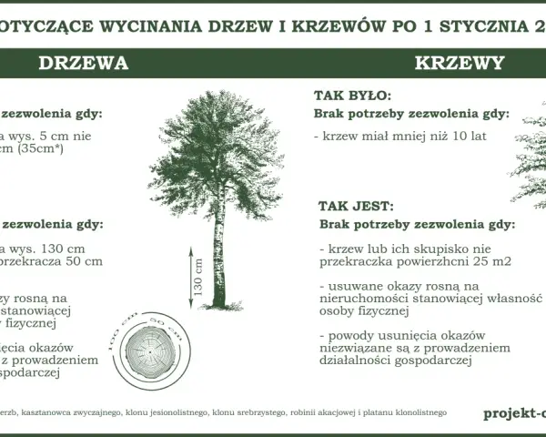 Ilustracja drzewa i krzewu z wymiarami obwodu pnia i powierzchni krzewu.
